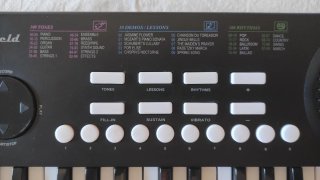 Pianoforte Musicale Sheffield
