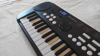 Pianoforte Musicale Sheffield