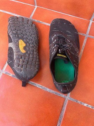 Zapatillas Saguaro Barefoot Negras
