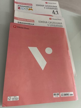 Lengua Castellana y Literatura 4, Educación Pri...