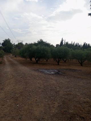 Terreno rústico con caravana