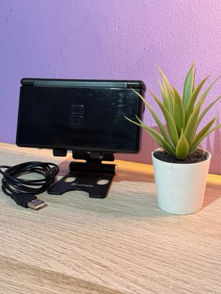 Nintendo DS Lite Negra