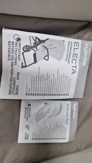 Carrito de bebé Inglesina Electa 2 en 1 + capazo