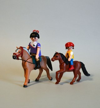 Playmobil Amazona Clase Hípica Con Niña
