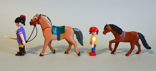 Playmobil Amazona Clase Hípica Con Niña