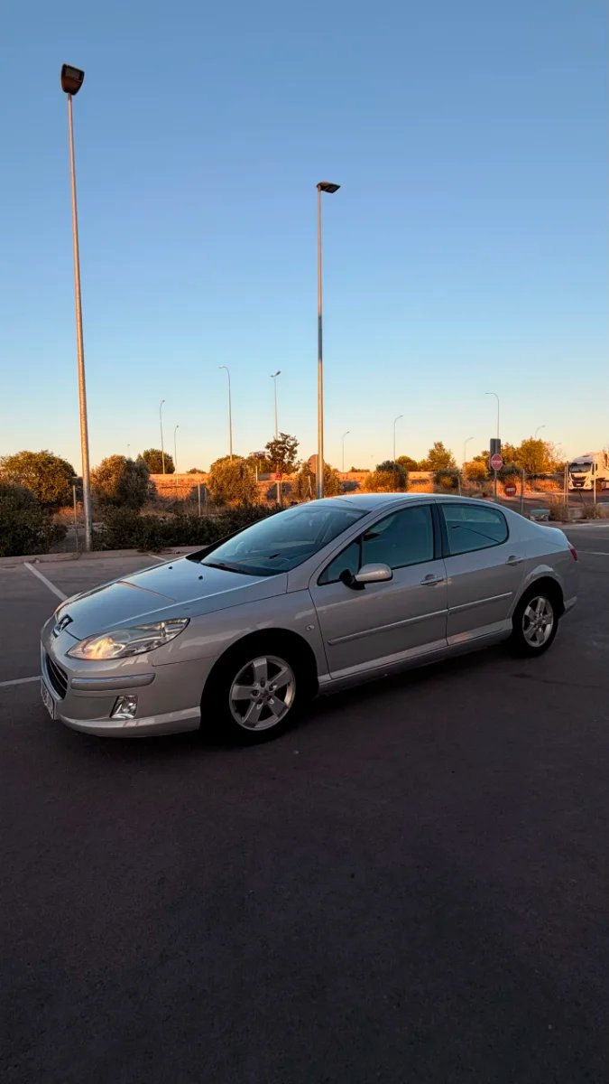 Peugeot 407 2008 - foto 1