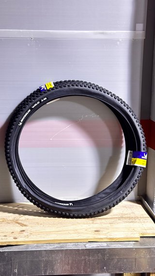 2 Neumáticos Michelin Wild 29x2.4