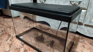 Acuario Pecera Negra con Luz LED