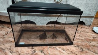 Acuario Pecera Negra con Luz LED