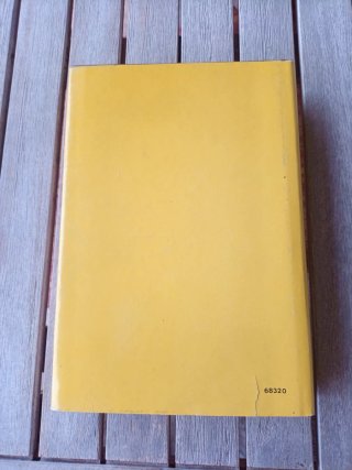Romanzo d'avventura "Gli angeli piangono" W Smith
