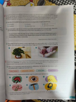 Lengua castellana y literatura