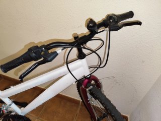 Bicicleta Montaña 24