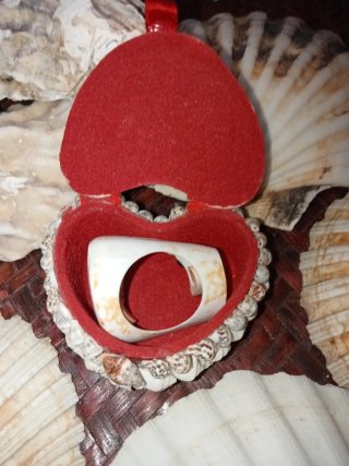 Portagioie conchiglie e anello conchiglia