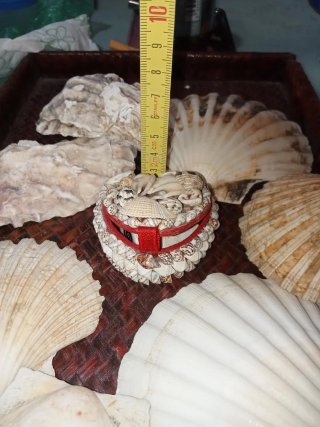 Portagioie conchiglie e anello conchiglia