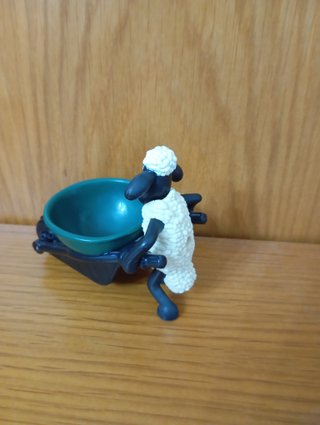 Ovelha Choné Carrinho de Mão