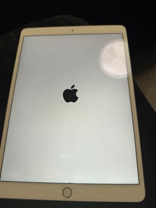 iPad Air 3ª Gen con Cargador