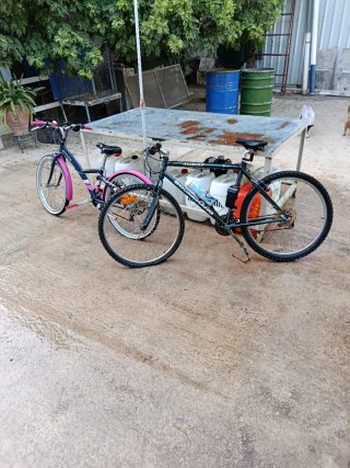 Bicicleta Montaña Assault Niña