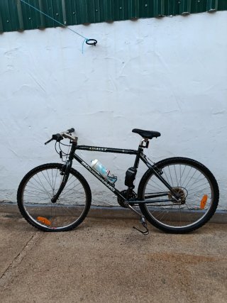 Bicicleta Montaña Assault Niña