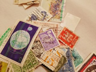 Lote Sellos Temas Animales Varios Países