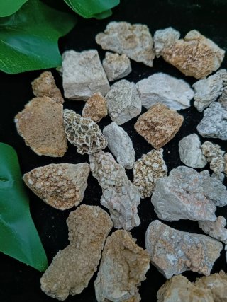 Lotto minerali grezzi di dolomite e calcite