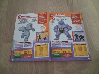 Guida alle schede dati di Pokémon Smeraldo
