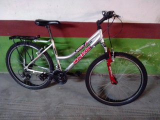 Bicicleta Globe Trotter