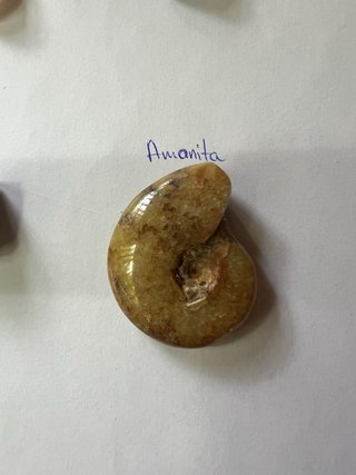 Lotto di Minerali Vari
