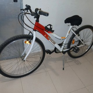 Bicicleta de Montaña TOPBIKE 80 FS