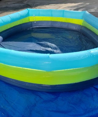 Piscina infantil Crivit