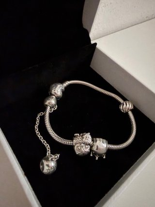 Bracciale Pandora Moments Argento con Charm