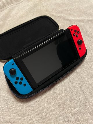 Custodia Nintendo Switch Zelda Link's Awakening