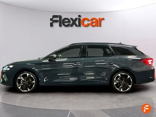 Cupra León SP 1.5 eTSI 110kW (150CV) DSG