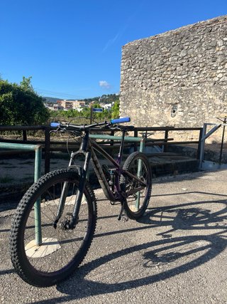 Trek Fuel 8