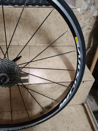 Coppie ruote Mavic Aksium 10/11v