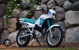 Soffietti forcella Honda Dominator