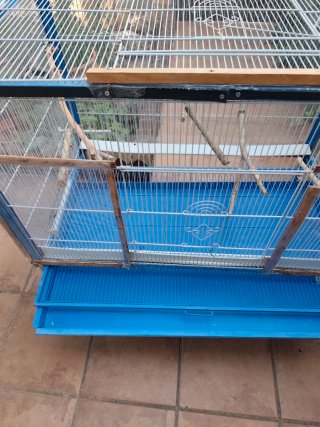 Jaula grande para pájaros