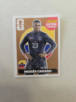 Cromos Extra Mundial Panini