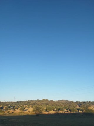 Hola estoy buscando un piso en Almendralejo