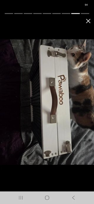 Rampa Plegable Perros Pawaboo Madera