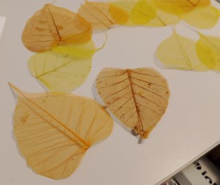 Foglie decorative trasparenti per decorazioni