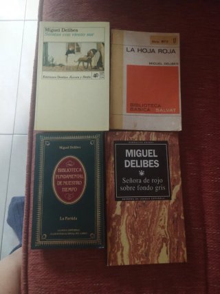 lote novelas Miguel Delibes