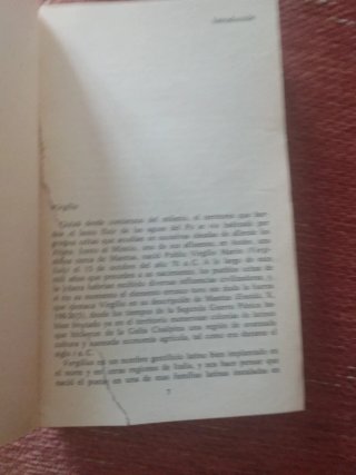 Eneida