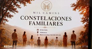 Taller constelación familiar grupal.