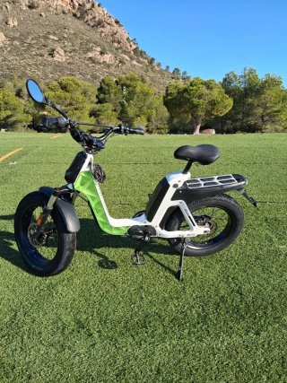 Bicicleta Eléctrica Avenida