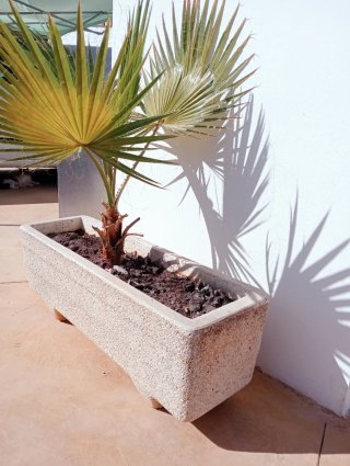 Jardineras de granito blanco