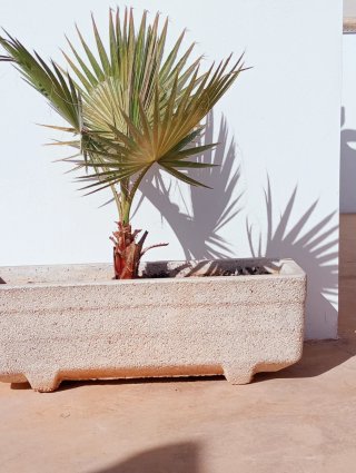 Jardineras de granito blanco
