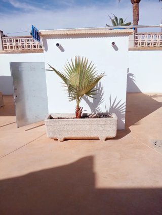 Jardineras de granito blanco