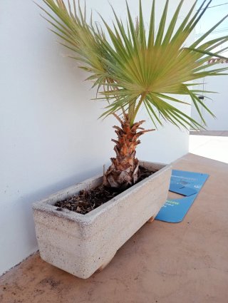Jardineras de granito blanco