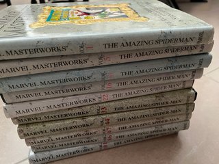 The Amazing Spiderman Marvel Masterworks lote