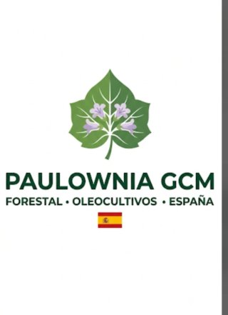 Finca Olivar Hectárea Andalucía 52.000€